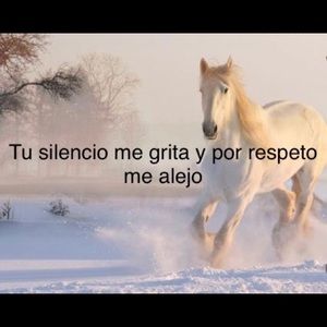 Meet your Posher, Sonia